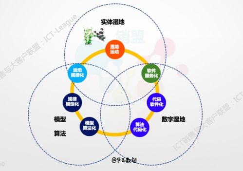 企業的數字化轉型 數據、算法、互聯網服務與工業互聯網數據服務的核心探討